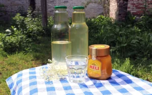 Vlierbloesemsiroop met honing